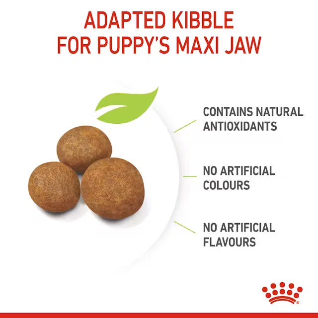 Royal Canin Puppy (Maxi) Dry Dog Food